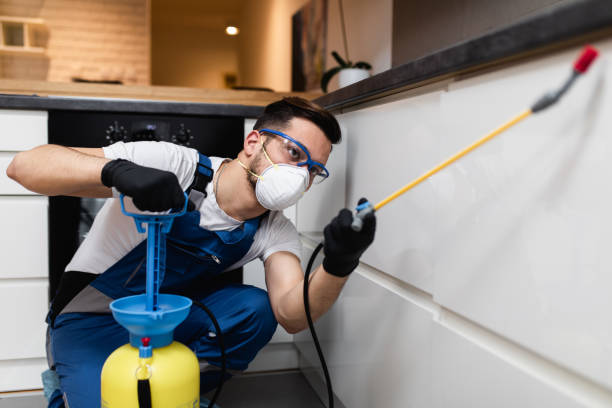 Flea Control Services in Fremont, NE