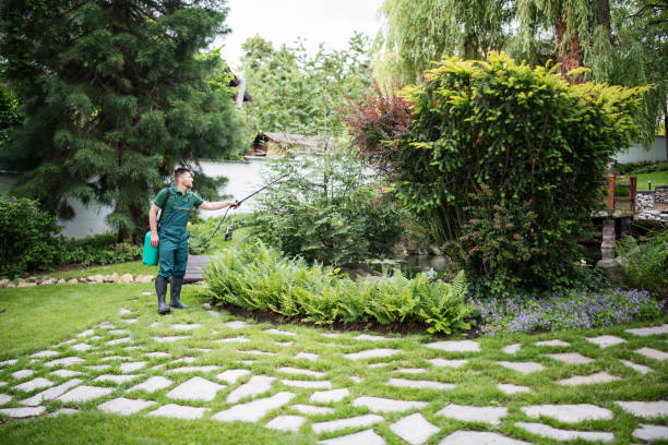 Best Pest Prevention Services  in Fremont, NE