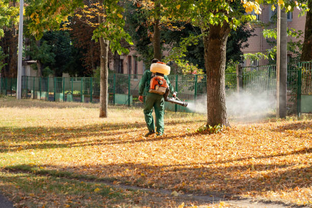 Best Local Pest Control Services  in Fremont, NE