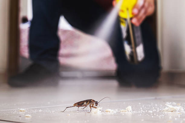 Best Affordable Pest Control Services  in Fremont, NE
