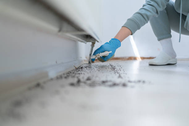 Best Mosquito Control Services  in Fremont, NE